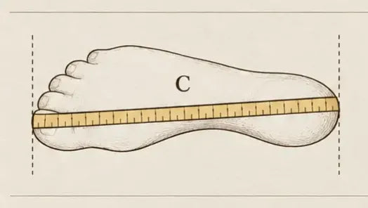 Foot length C, measured from the back of the heel to the longest toe
